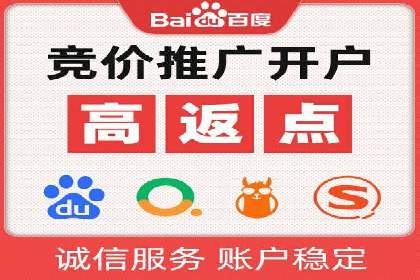 SEM运营推广策略：成功案例解析